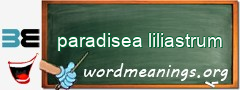 WordMeaning blackboard for paradisea liliastrum